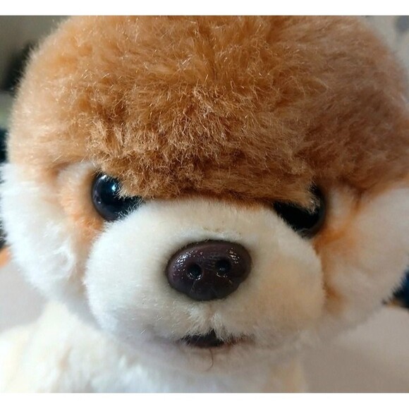 GUND Boo Plush Puppy 9" - Perfect Gift for Dog Lovers, Kids and Collectors - Picture 5 of 11
